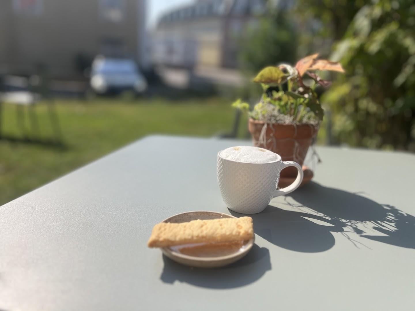 Sarah’s Café · Bilder 7